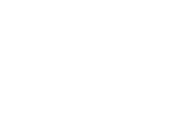 Western Mustangs